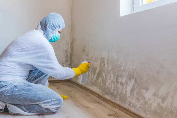 Crawl Space Mold Remediation treatment of floor joists in Lakeland